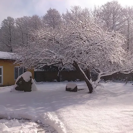 Vidoni Apartment