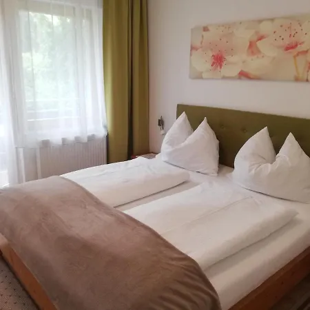 Apartment Vidoni *