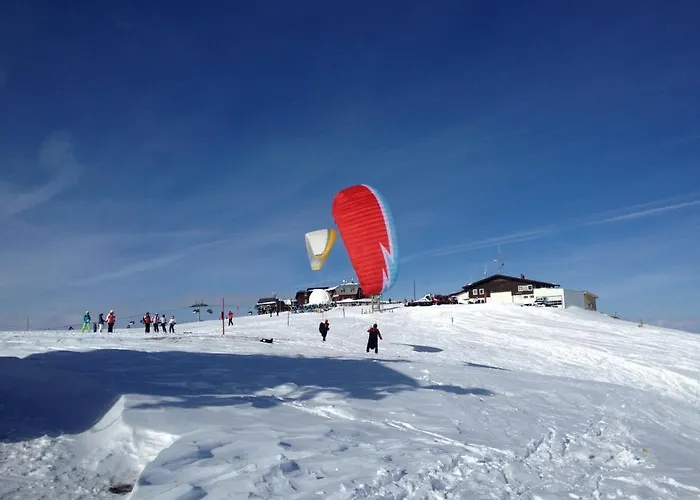 Vidoni Appartement *